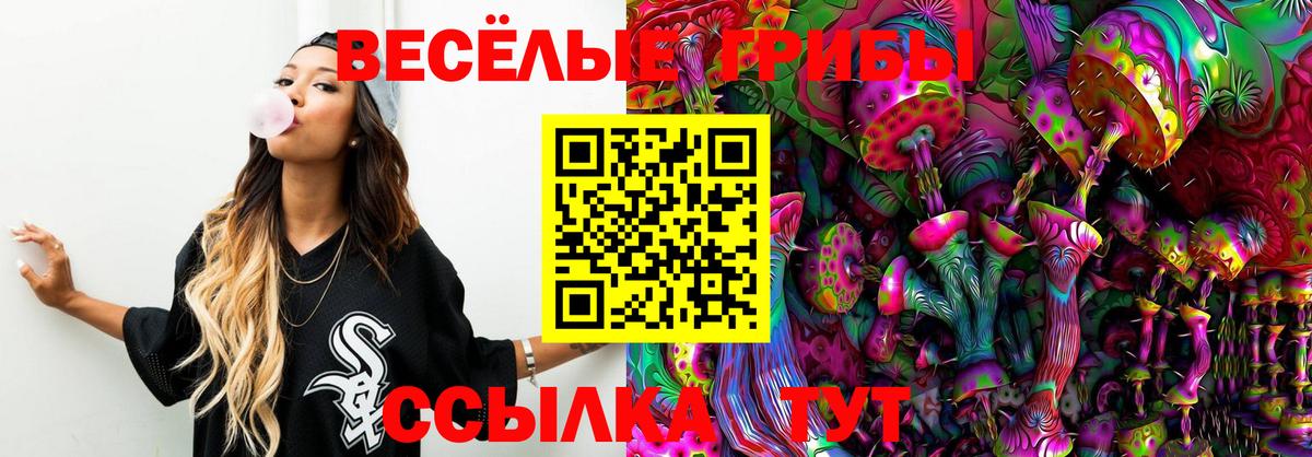Псилоцибиновые грибы GOLDEN TEACHER Озёрск