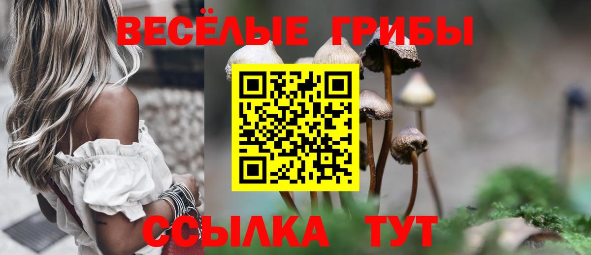 Озёрск  Галлюциногенные грибы Psilocybine cubensis  Вход с VPN 