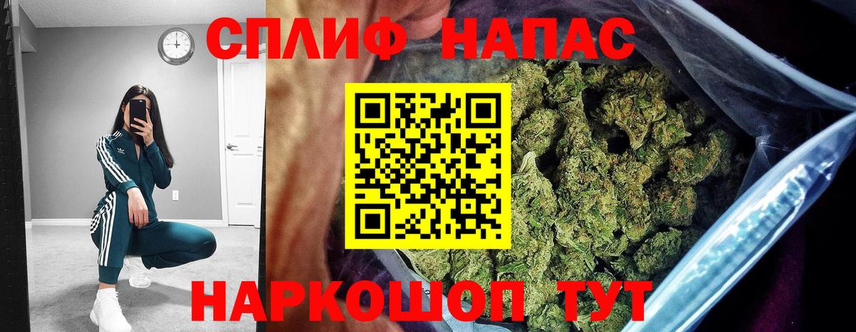 ГАШ Озёрск